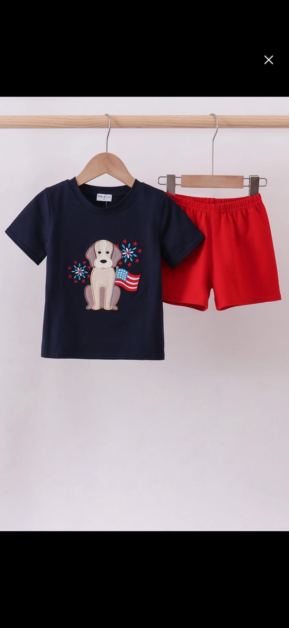 July 4th Puppy Shorts Set